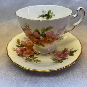Royal Adderley Teacup and Saucer Prairie Rose Canadian Provincial Flowers Vintag